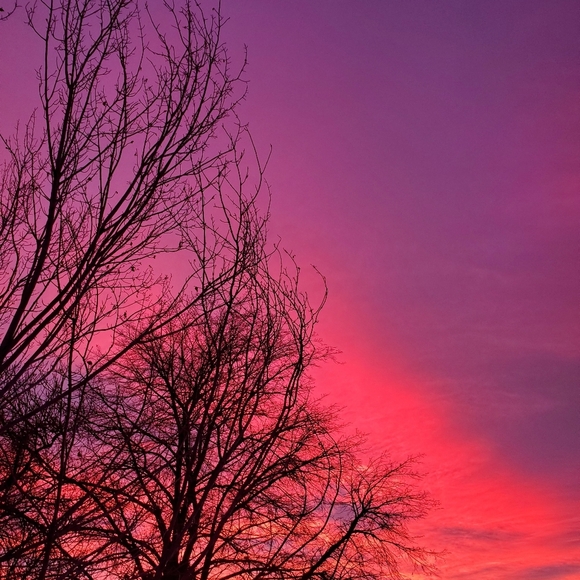 ACCEPTING ALL REASONABLE OFFERS - Picture 1 of 1